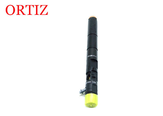 Black Color  Common Rail Injector Steel Material For CITROEN C3